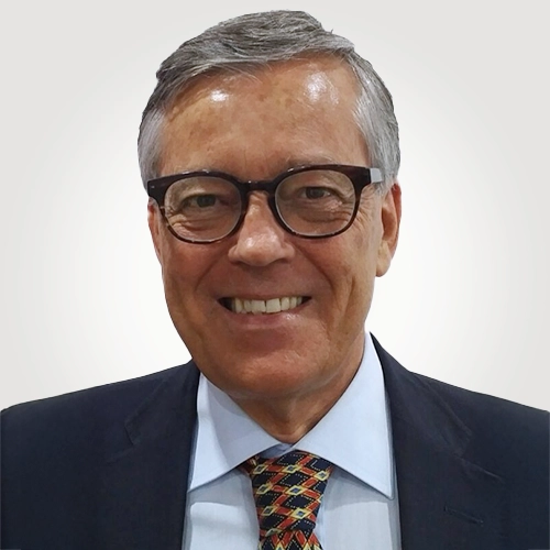 Luigi Papoff - Defence & Security Advisor at Victoria Technology & Consulting